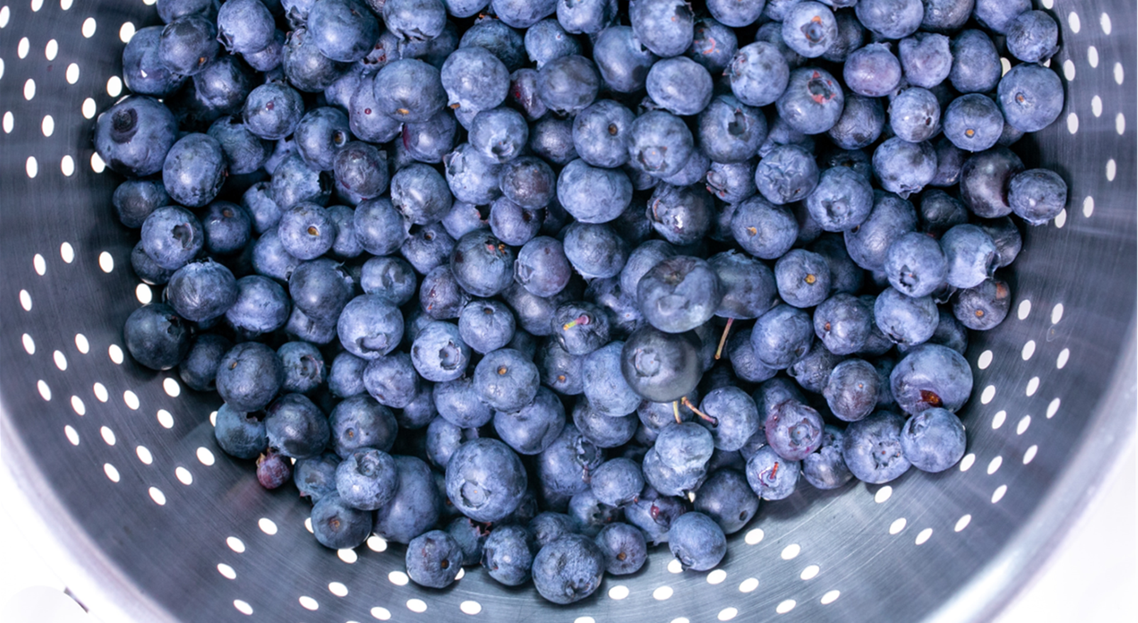 It's Blueberry Season!