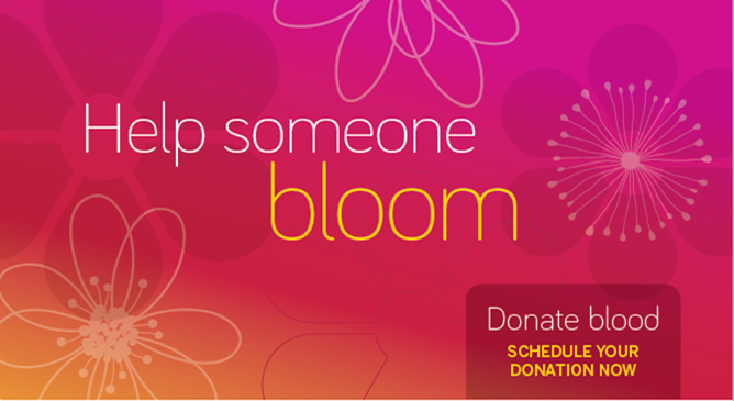 Blood Drives in Chesterton